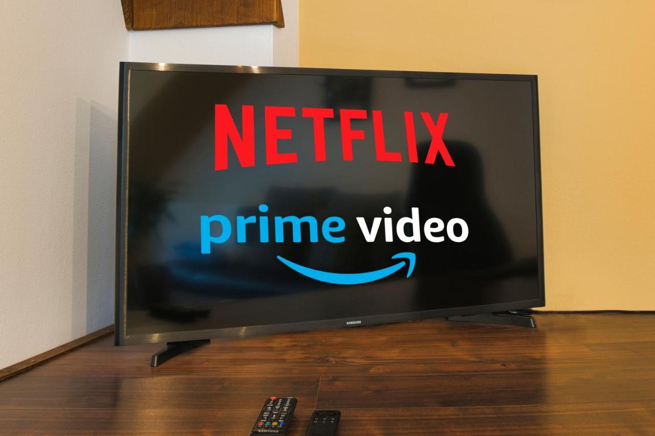 Apartment Bavaria - Zentral Mit Stellplatz, Kueche & Netflix Pfaffenhofen an der Ilm
